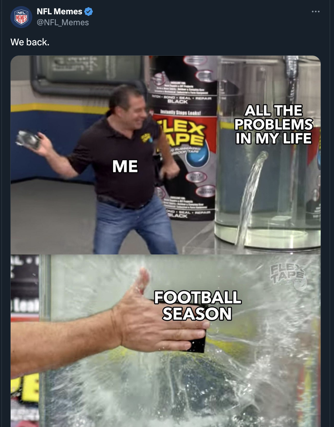 flex tape meme - Nfl Memes Memes We back. Leal E Me Black Lex Ape All The Problems In My Life Football Season Fle Tap